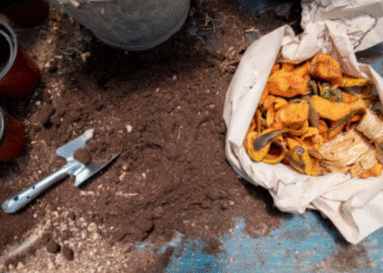 Vorteile von Probenahmen nach LAGA PN 98 im Bauschuttmanagement