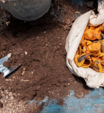 Vorteile von Probenahmen nach LAGA PN 98 im Bauschuttmanagement